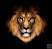 Creating Confidence Creating Confidence